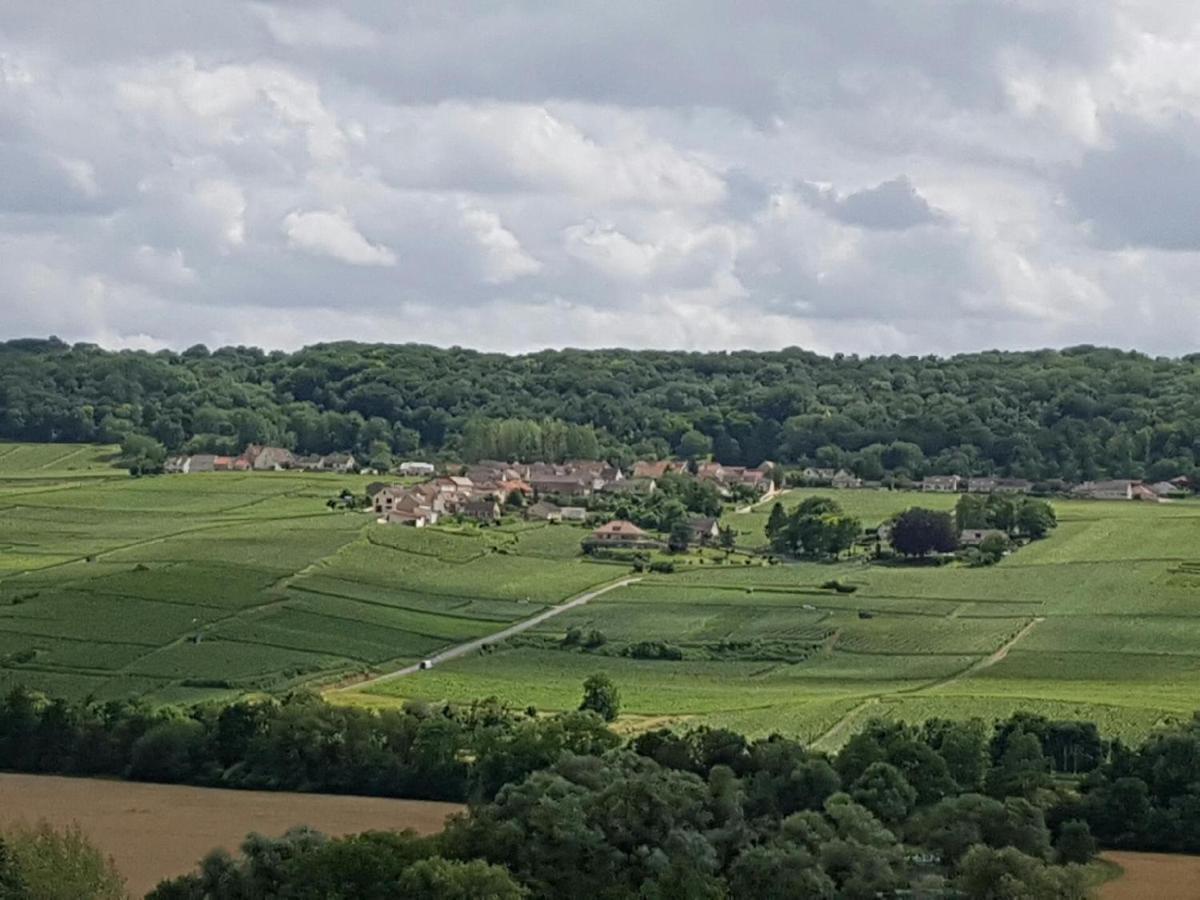 Le Domaine De L Etang Le Merger Oeuilly Zewnętrze zdjęcie